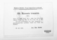Marssonina truncatula image
